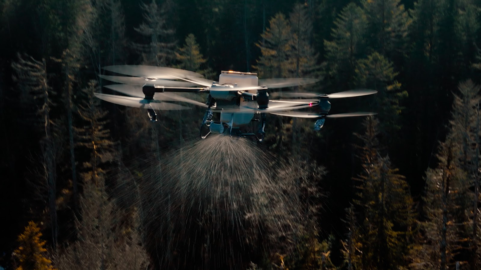 a drone in mid air dropping seeds in a forested area