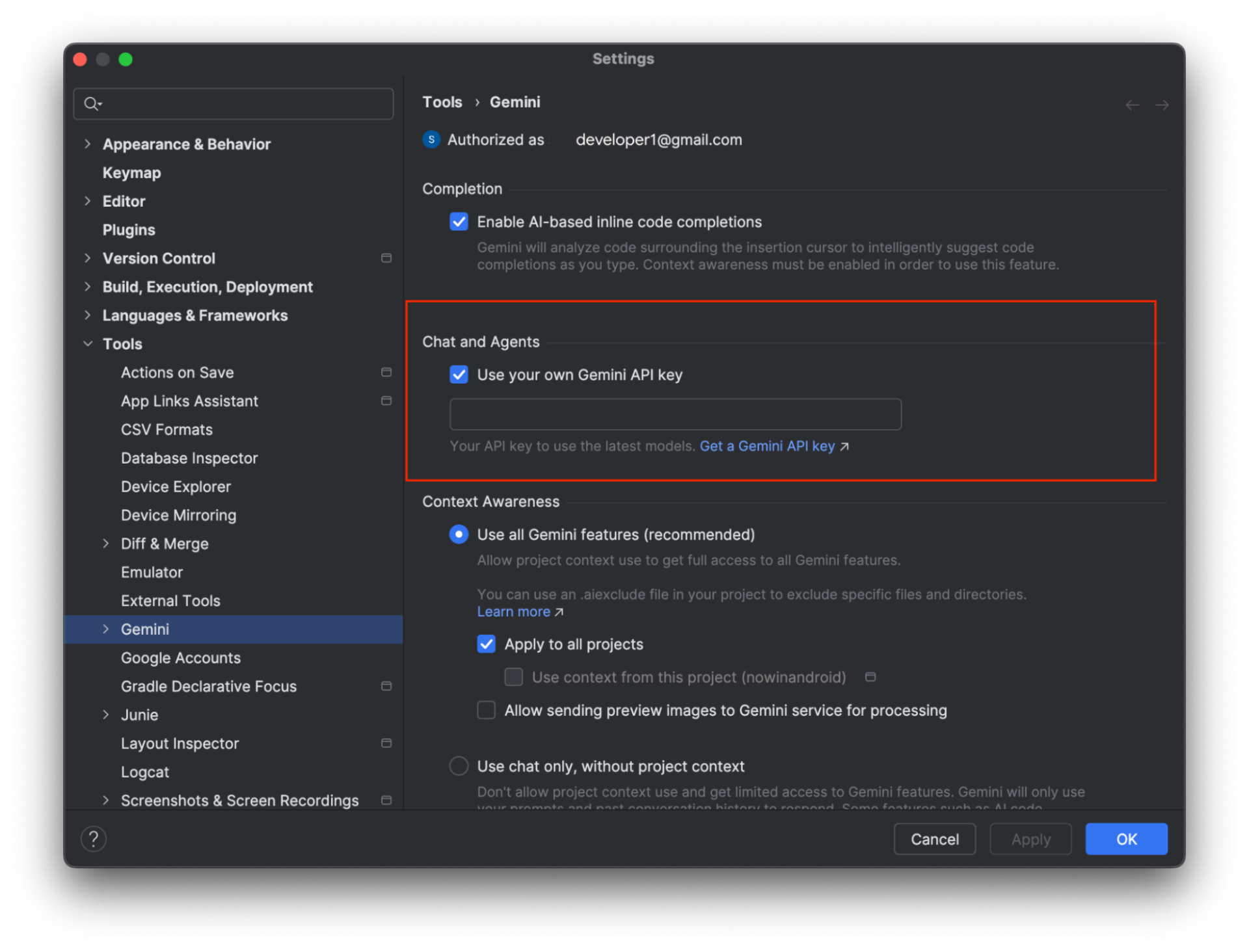 screenshot of how to add your API Key in the Gemini settings