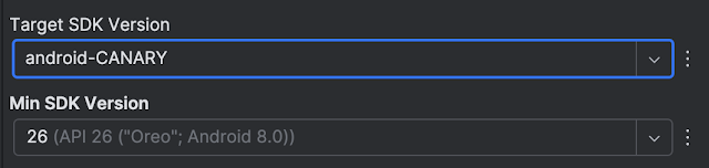 screenshot of the Target SDK Version and the android-CANARY target